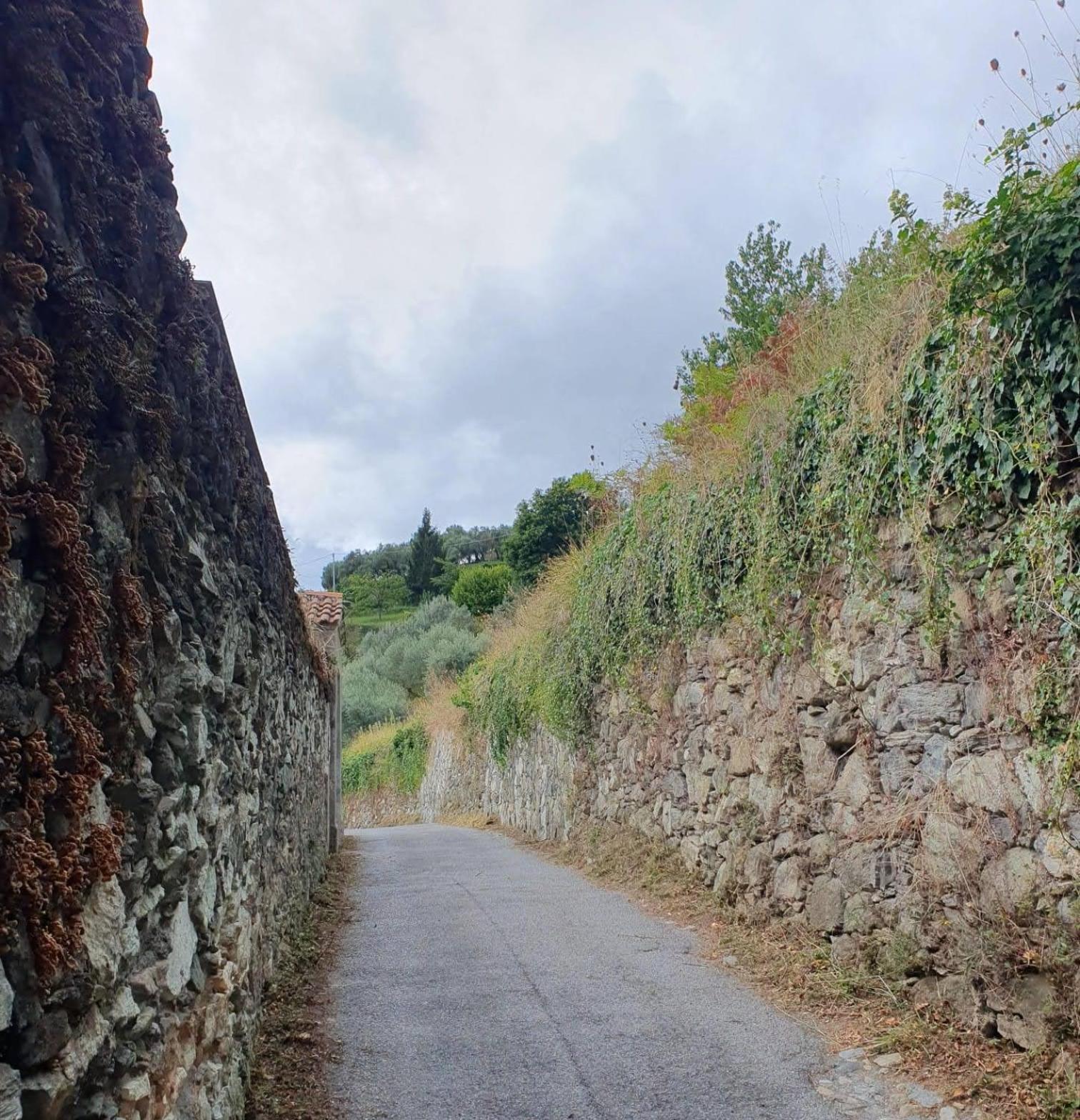 Ca Teodoi Appartement Genua Buitenkant foto